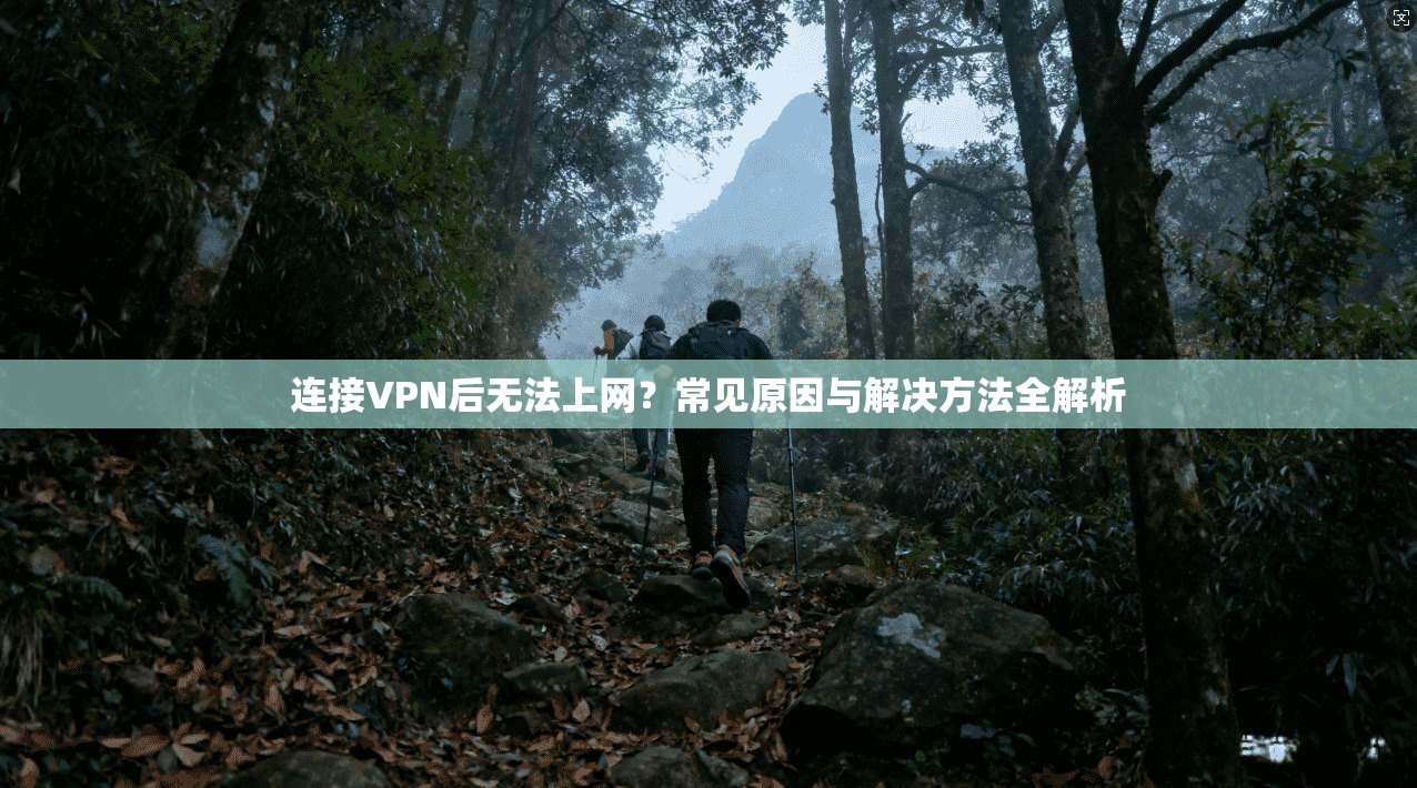 连接VPN后无法上网？常见原因与解决方法全解析