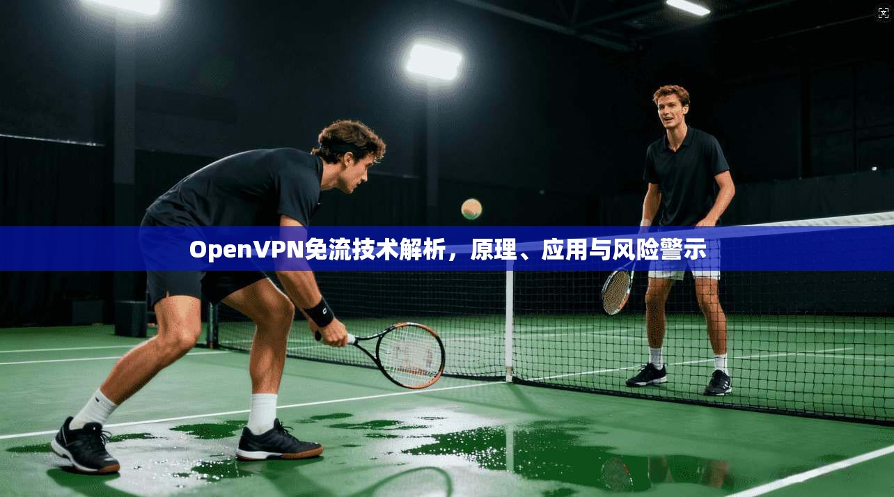 OpenVPN免流技术解析，原理、应用与风险警示