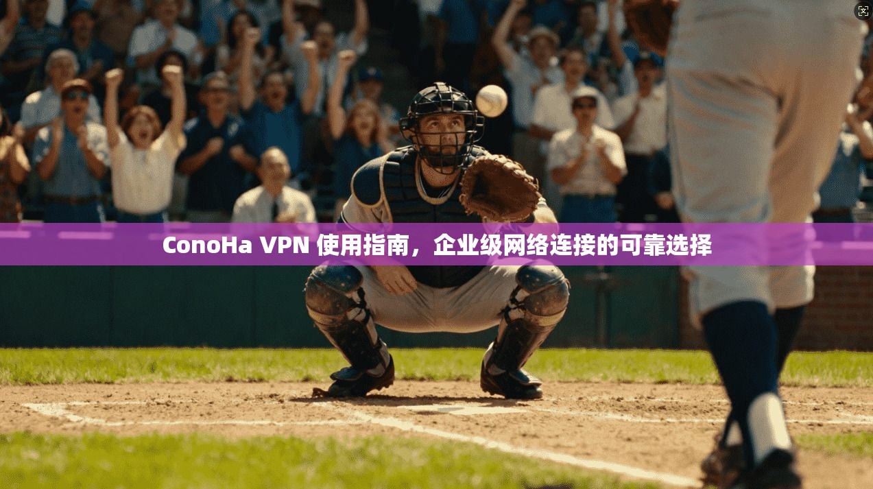 ConoHa VPN 使用指南，企业级网络连接的可靠选择