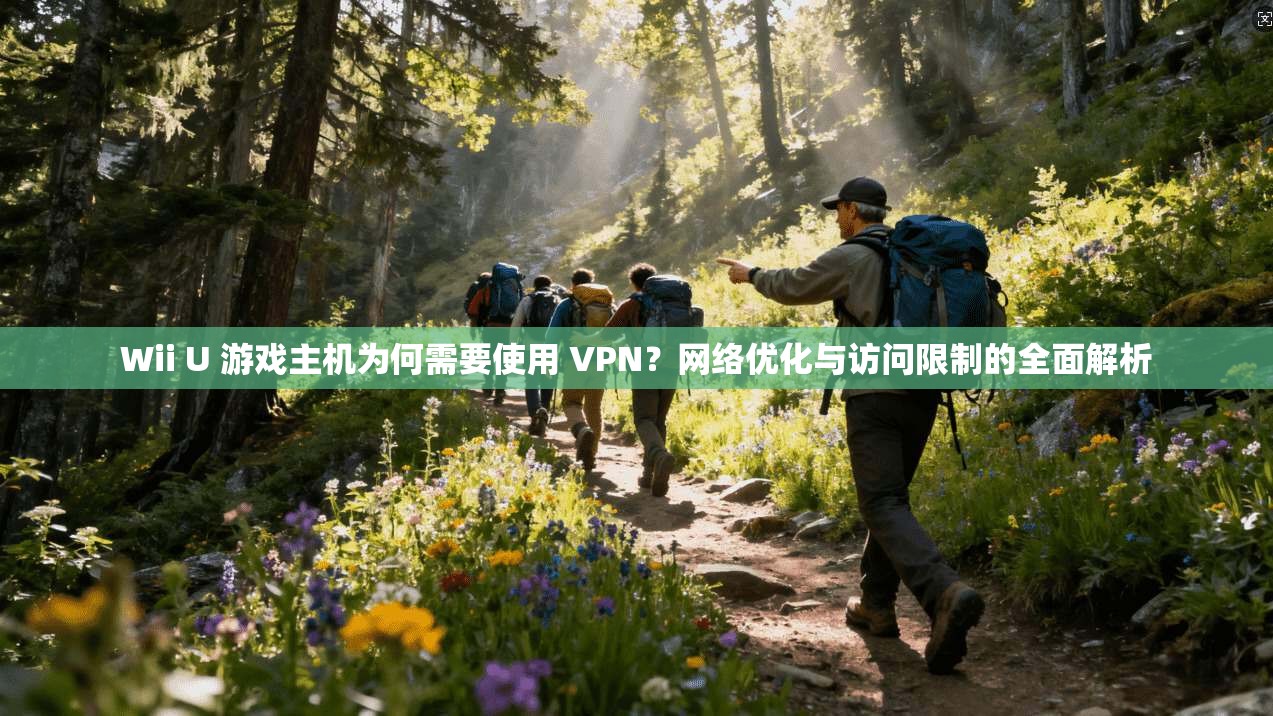 Wii U 游戏主机为何需要使用 VPN？网络优化与访问限制的全面解析