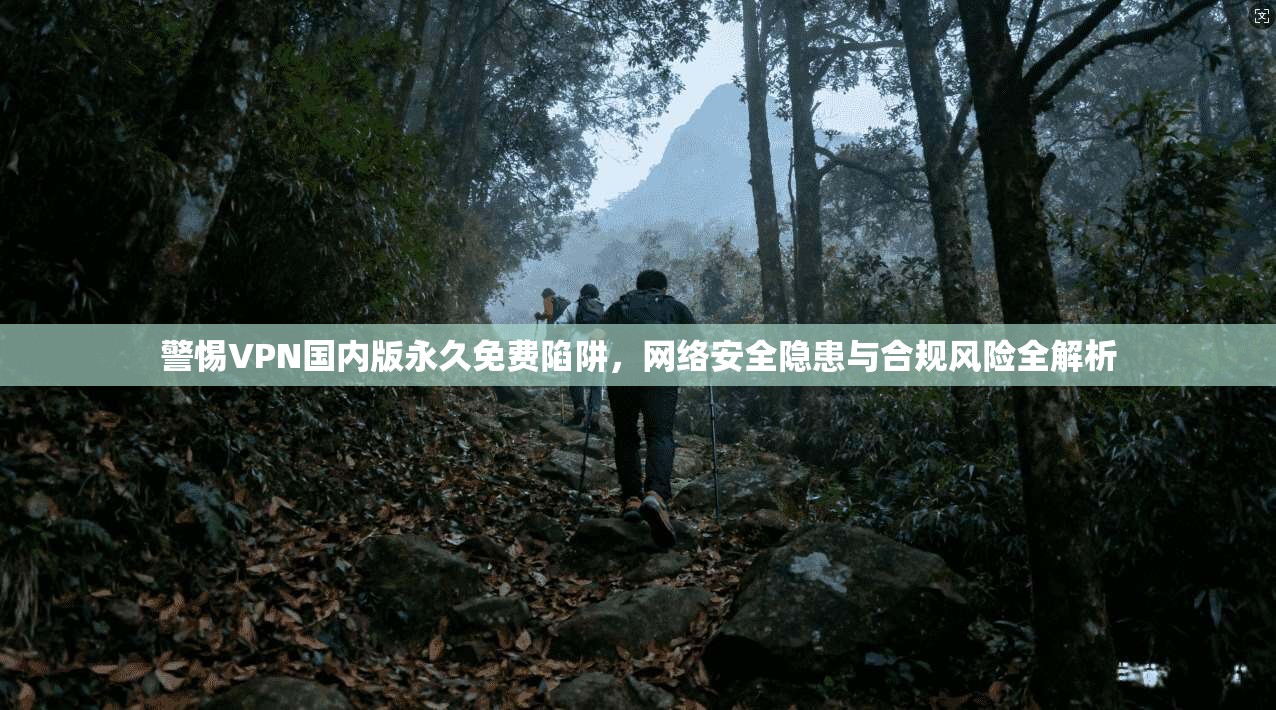 警惕VPN国内版永久免费陷阱，网络安全隐患与合规风险全解析