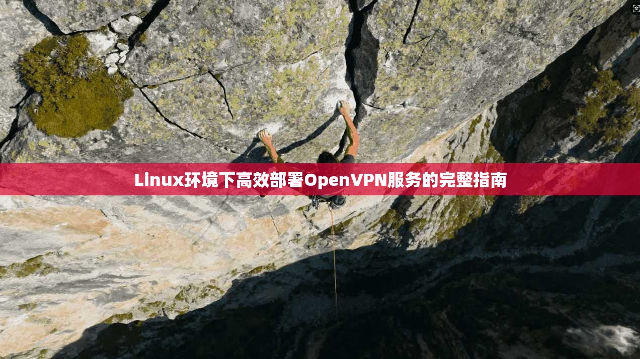 Linux环境下高效部署OpenVPN服务的完整指南