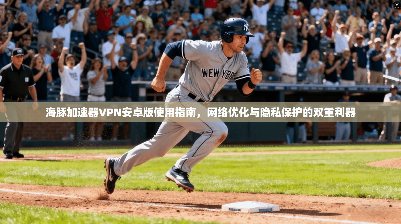 海豚加速器VPN安卓版使用指南，网络优化与隐私保护的双重利器