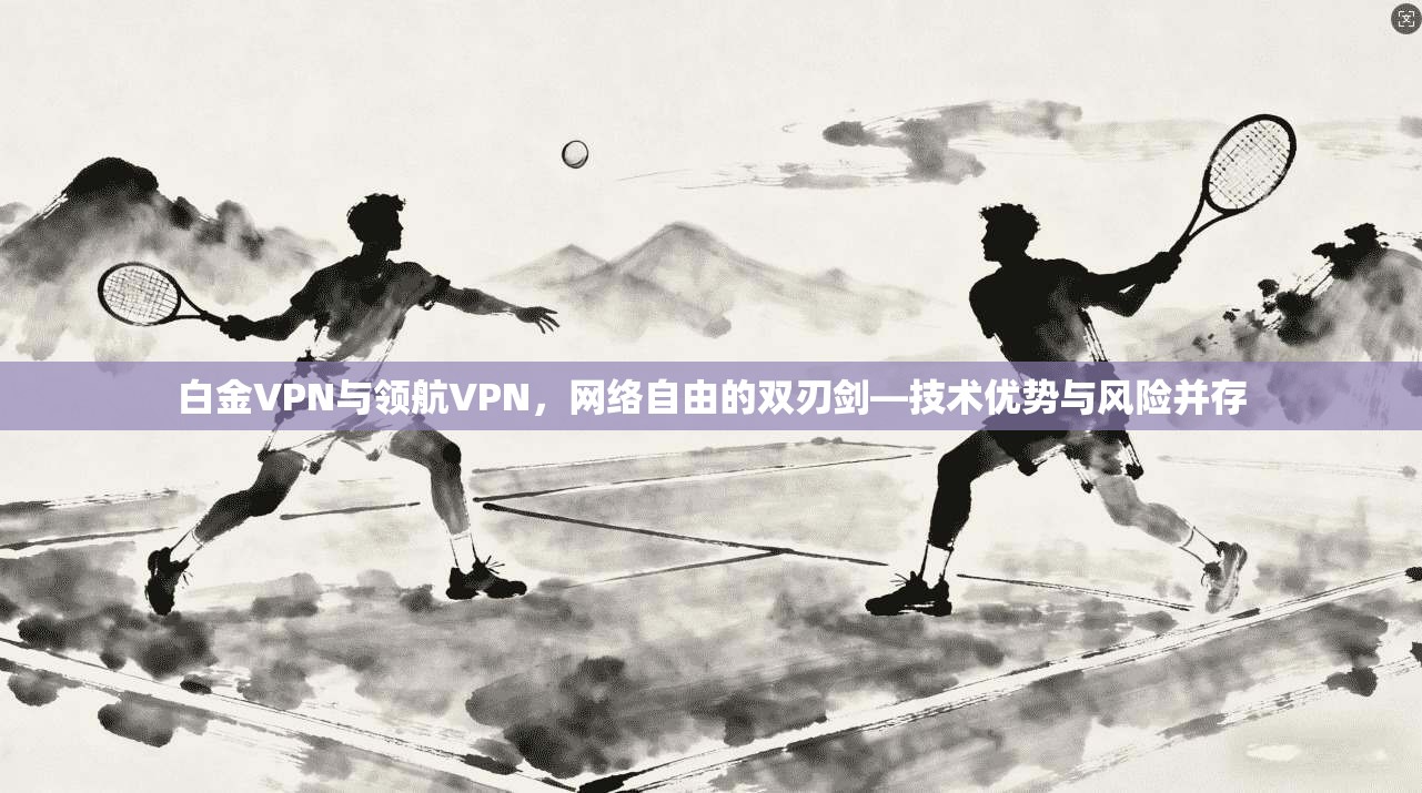 白金VPN与领航VPN，网络自由的双刃剑—技术优势与风险并存