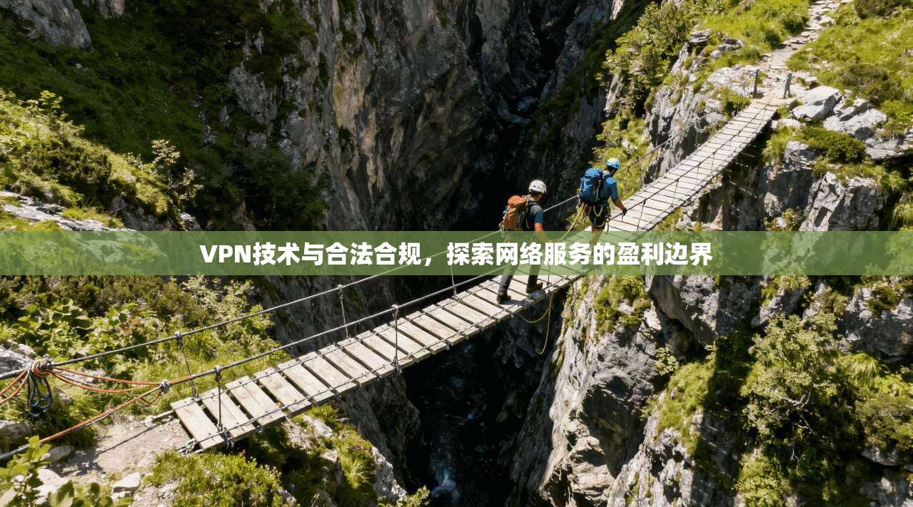 VPN技术与合法合规，探索网络服务的盈利边界