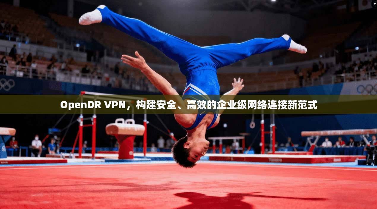 OpenDR VPN，构建安全、高效的企业级网络连接新范式