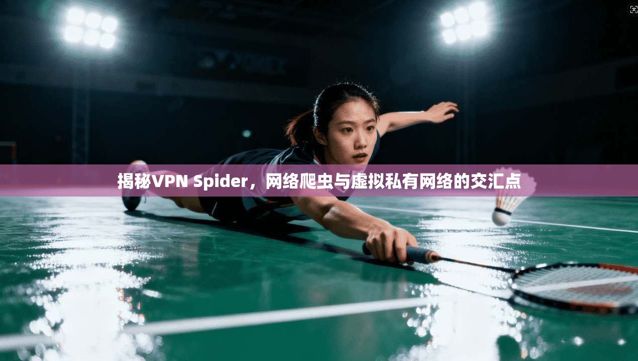 揭秘VPN Spider，网络爬虫与虚拟私有网络的交汇点