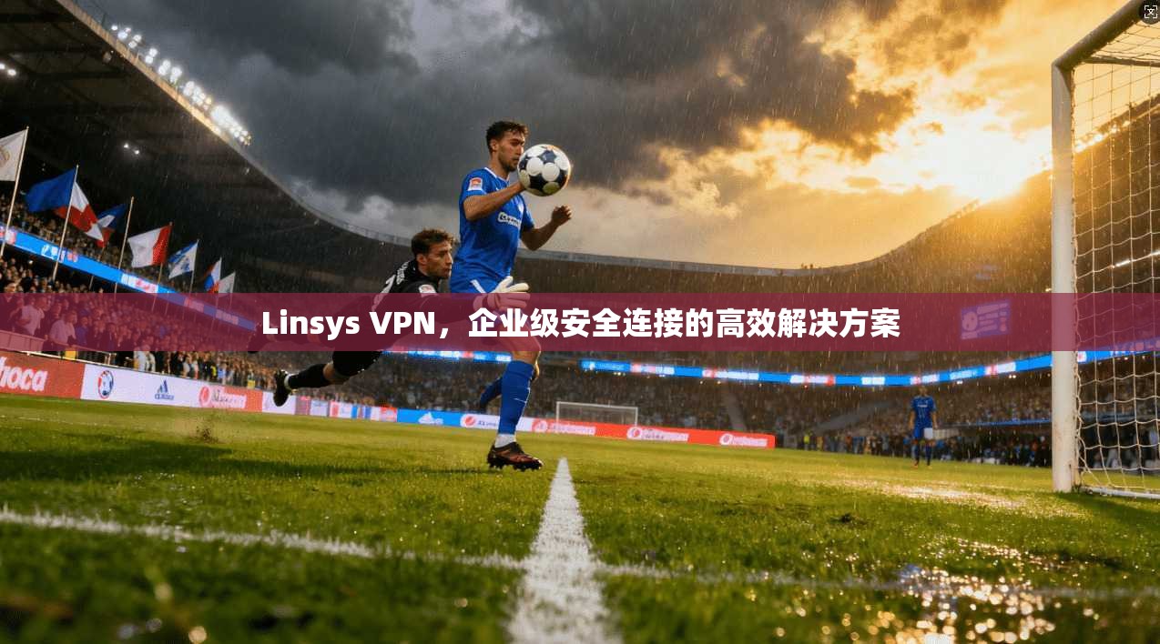 Linsys VPN，企业级安全连接的高效解决方案