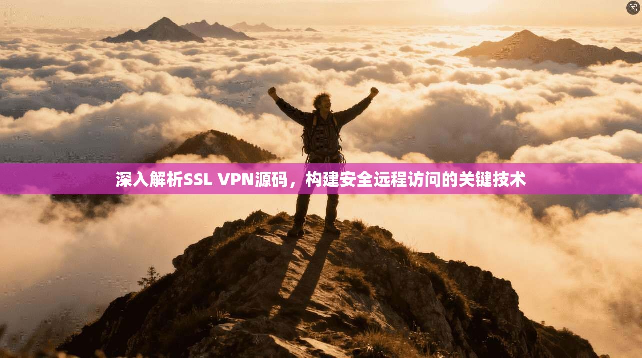 深入解析SSL VPN源码，构建安全远程访问的关键技术