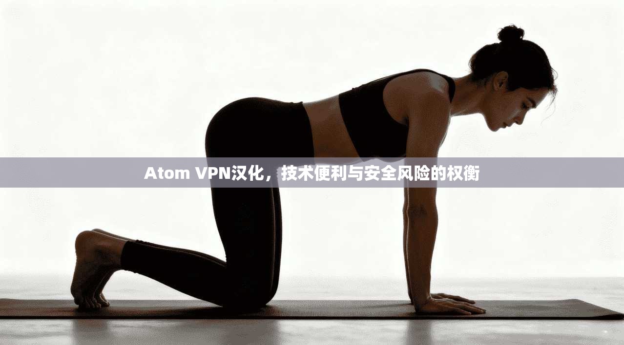 Atom VPN汉化,技术便利与安全风险的权衡