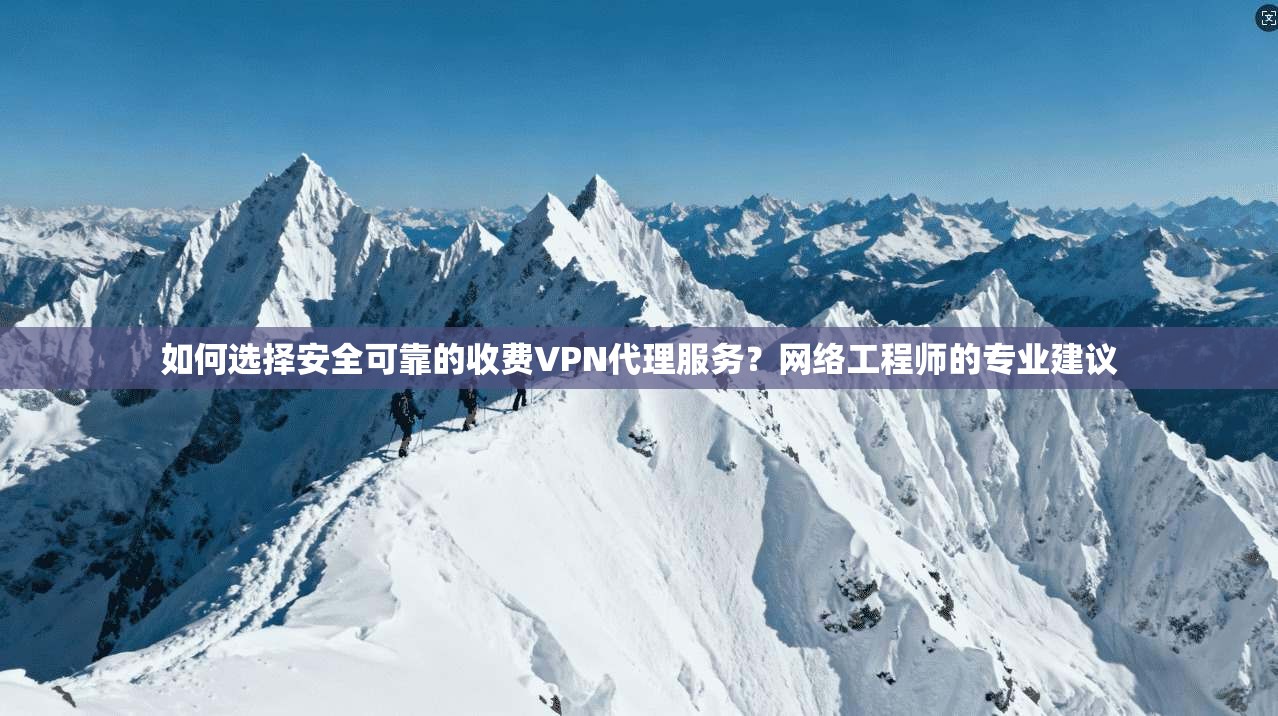 如何选择安全可靠的收费VPN代理服务？网络工程师的专业建议