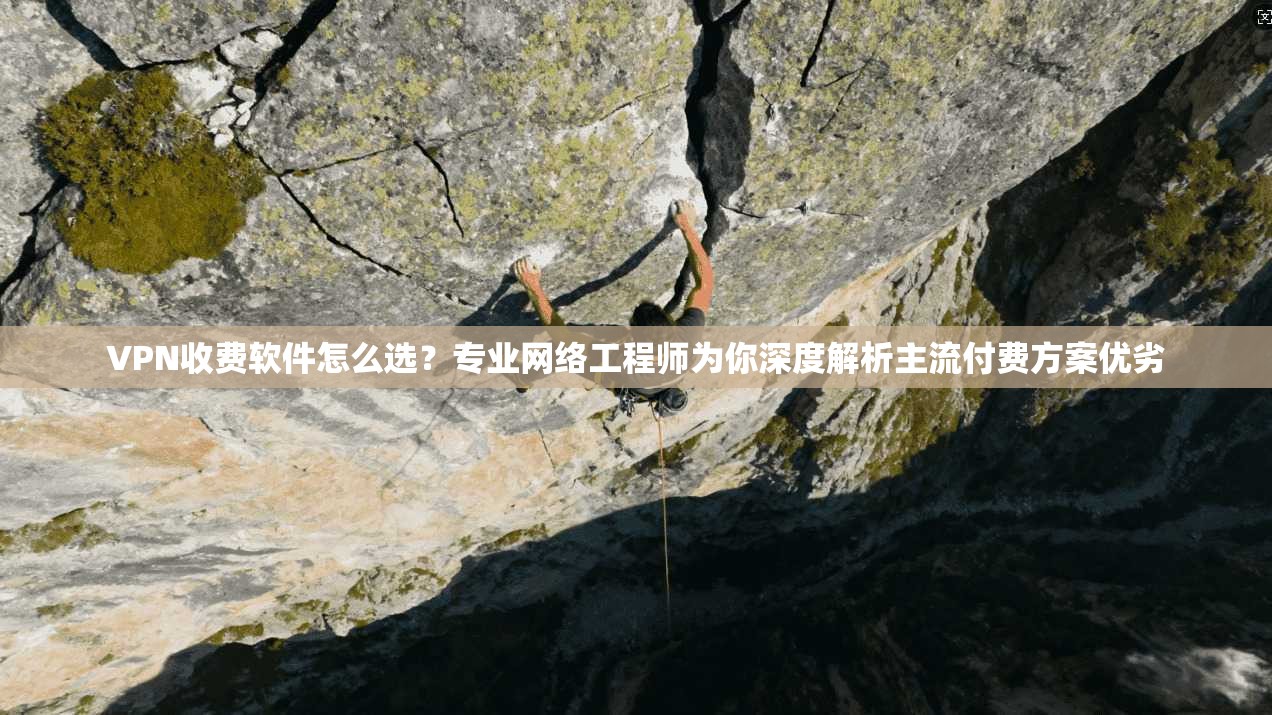 VPN收费软件怎么选？专业网络工程师为你深度解析主流付费方案优劣