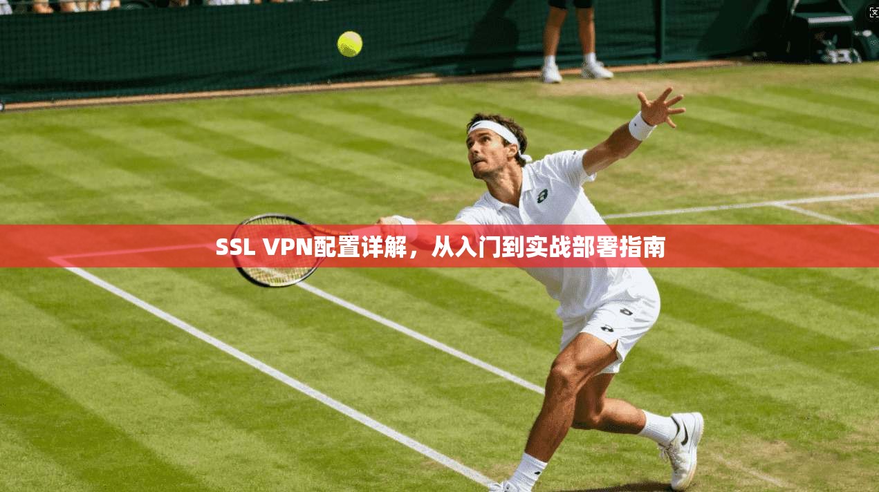 SSL VPN配置详解，从入门到实战部署指南