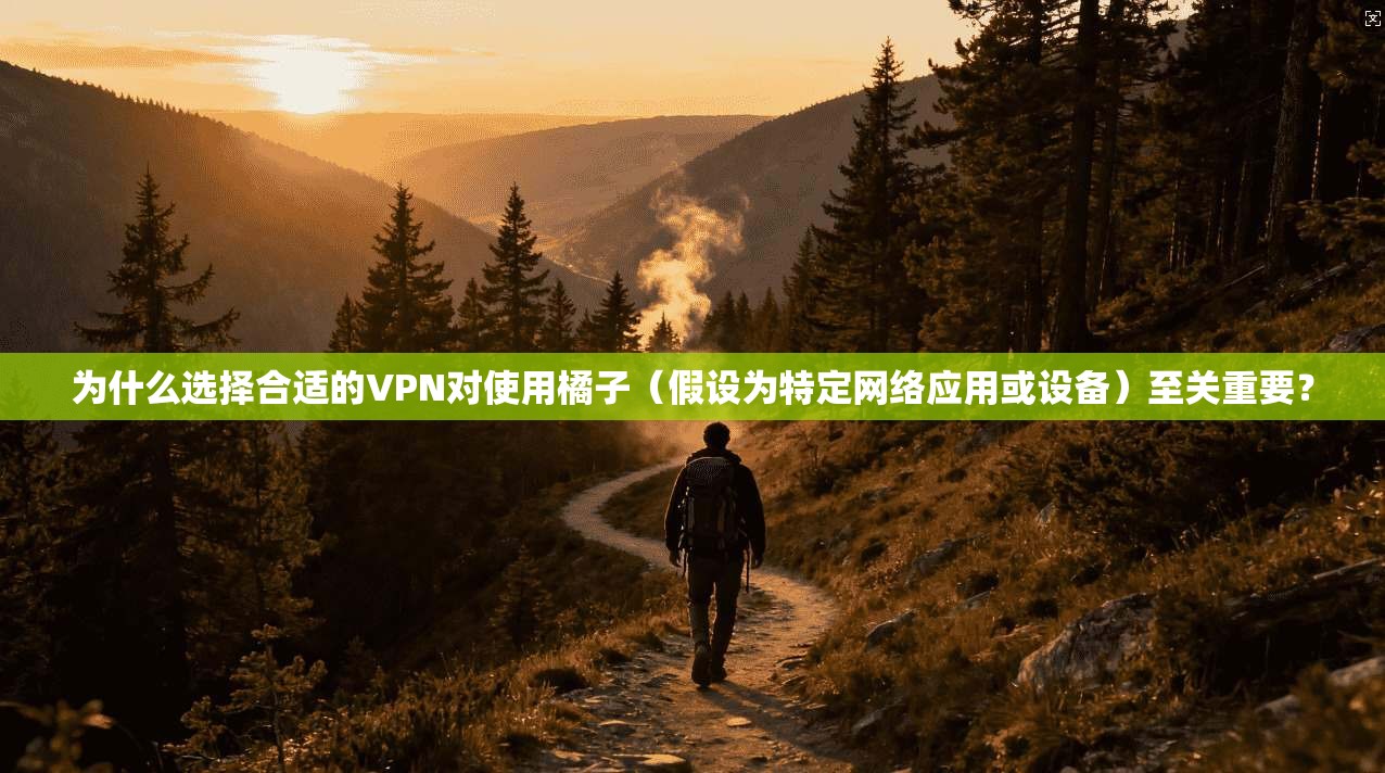 为什么选择合适的VPN对使用橘子（假设为特定网络应用或设备）至关重要？