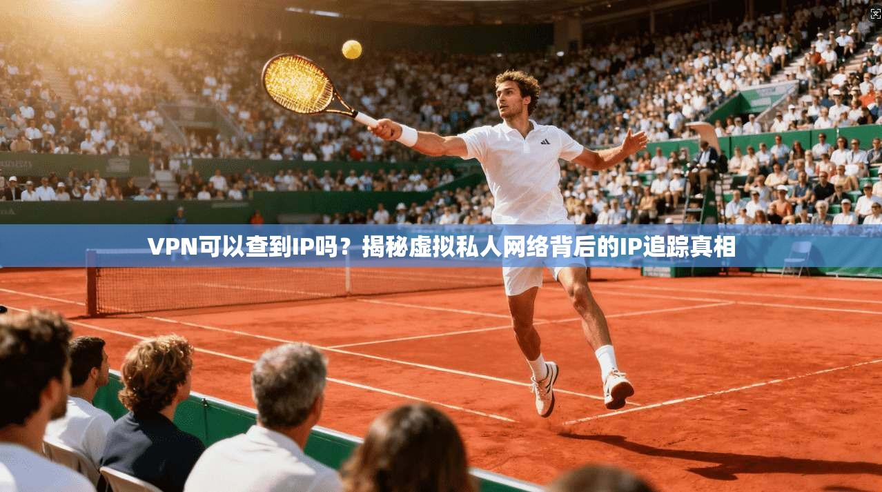 VPN可以查到IP吗?揭秘虚拟私人网络背后的IP追踪真相