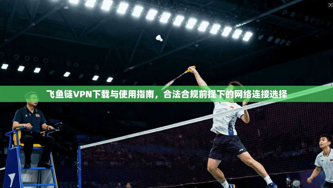 飞鱼链VPN下载与使用指南，合法合规前提下的网络连接选择