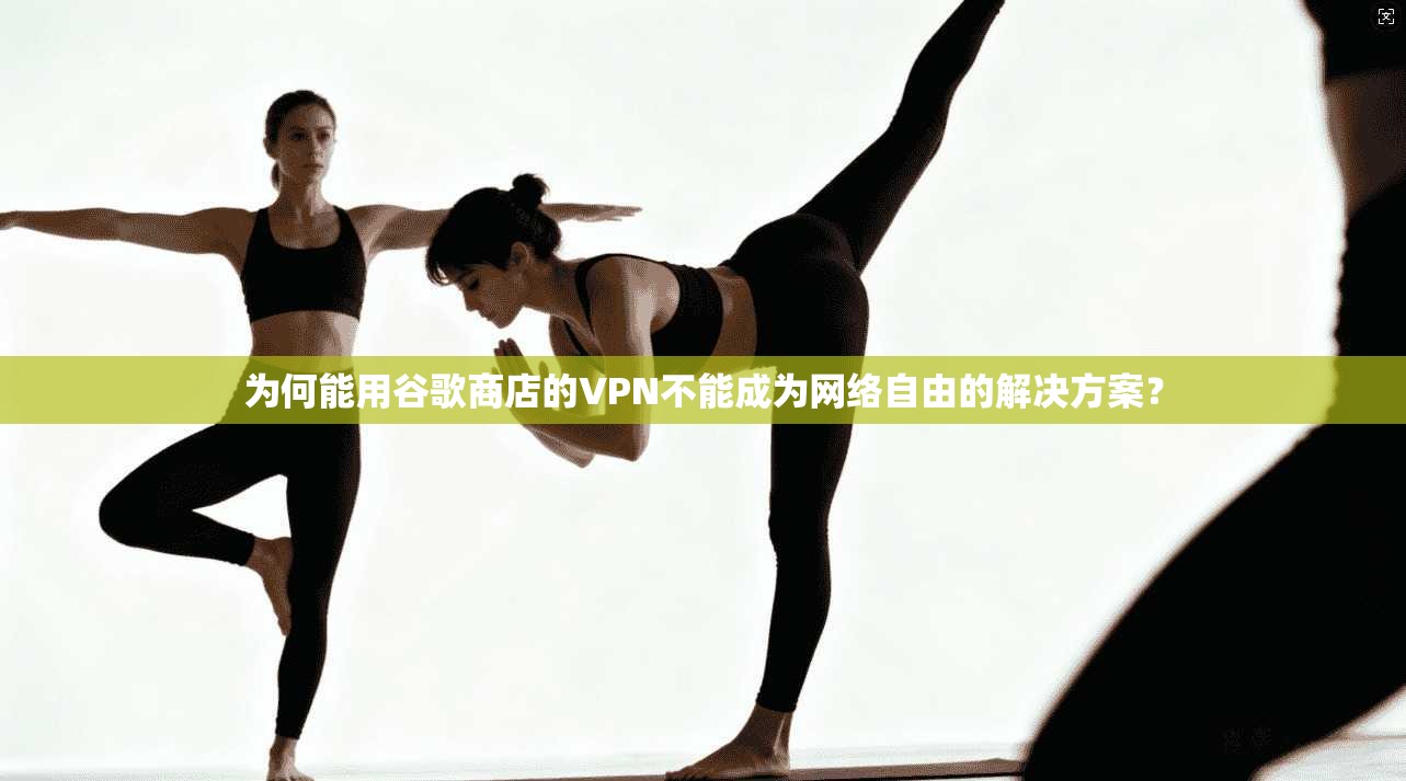 为何能用谷歌商店的VPN不能成为网络自由的解决方案？