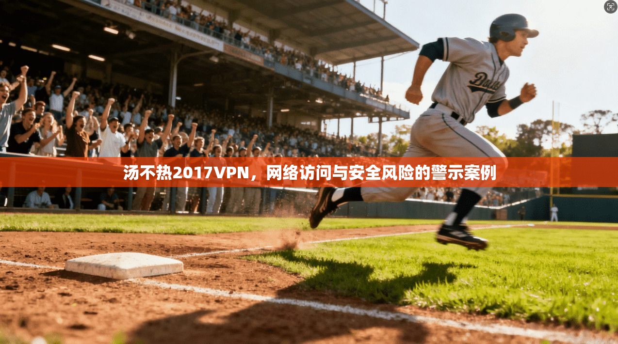 汤不热2017VPN，网络访问与安全风险的警示案例