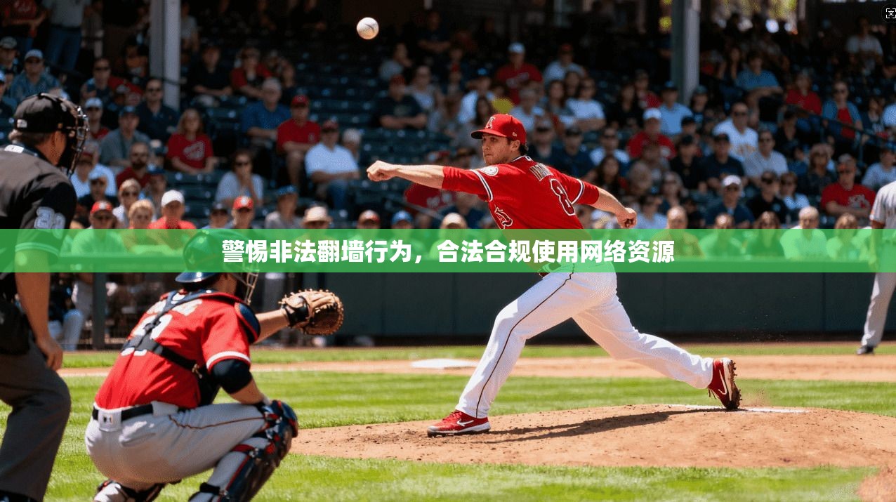 警惕非法翻墙行为，合法合规使用网络资源