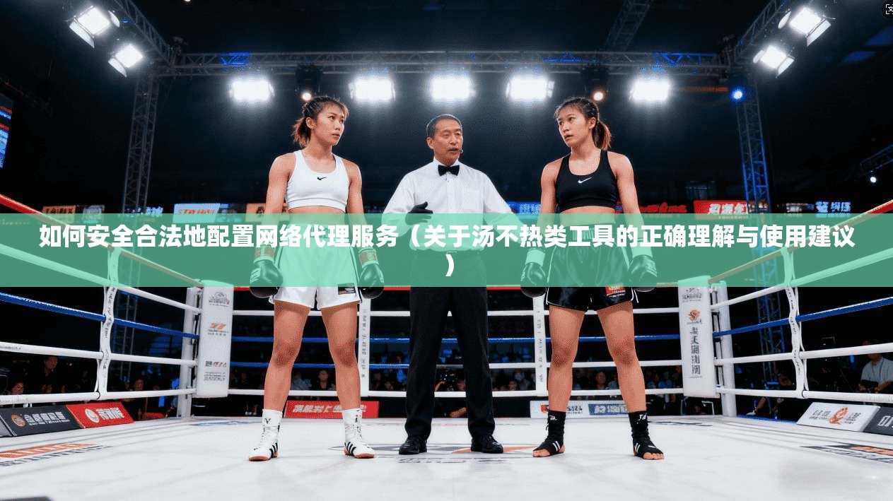 如何安全合法地配置网络代理服务(关于汤不热类工具的正确理解与使用建议)