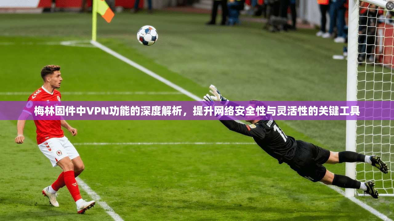 梅林固件中VPN功能的深度解析,提升网络安全性与灵活性的关键工具