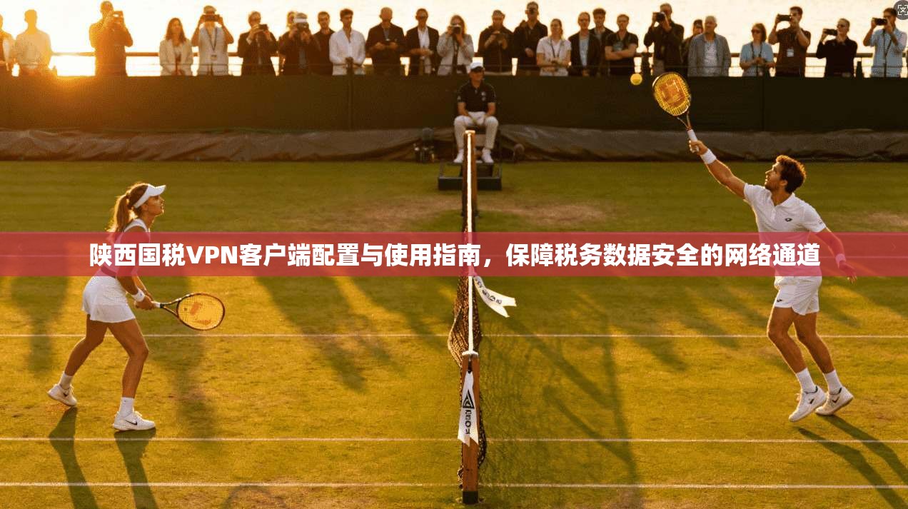 陕西国税VPN客户端配置与使用指南，保障税务数据安全的网络通道