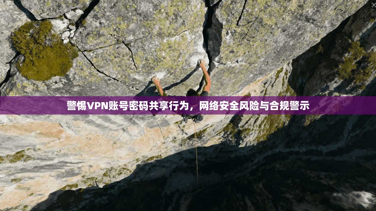 警惕VPN账号密码共享行为,网络安全风险与合规警示