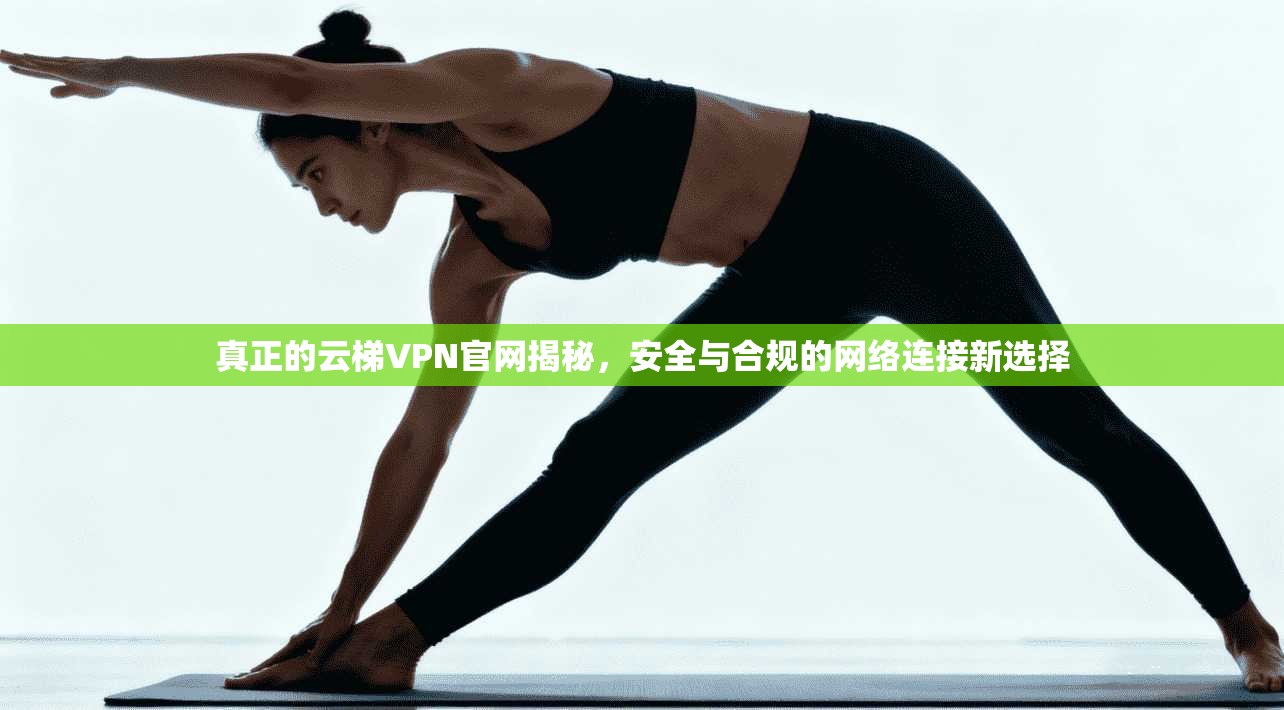 真正的云梯VPN官网揭秘,安全与合规的网络连接新选择