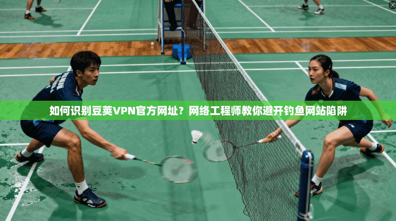 如何识别豆荚VPN官方网址？网络工程师教你避开钓鱼网站陷阱