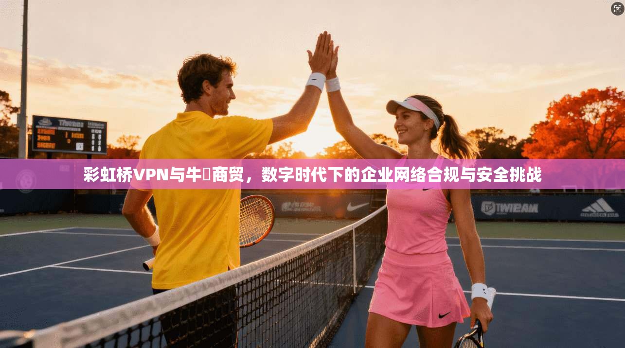 彩虹桥VPN与牛犇商贸,数字时代下的企业网络合规与安全挑战