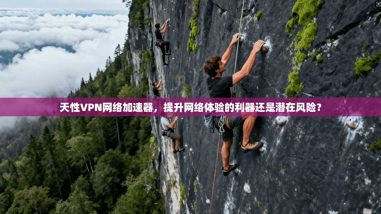 天性VPN网络加速器,提升网络体验的利器还是潜在风险?