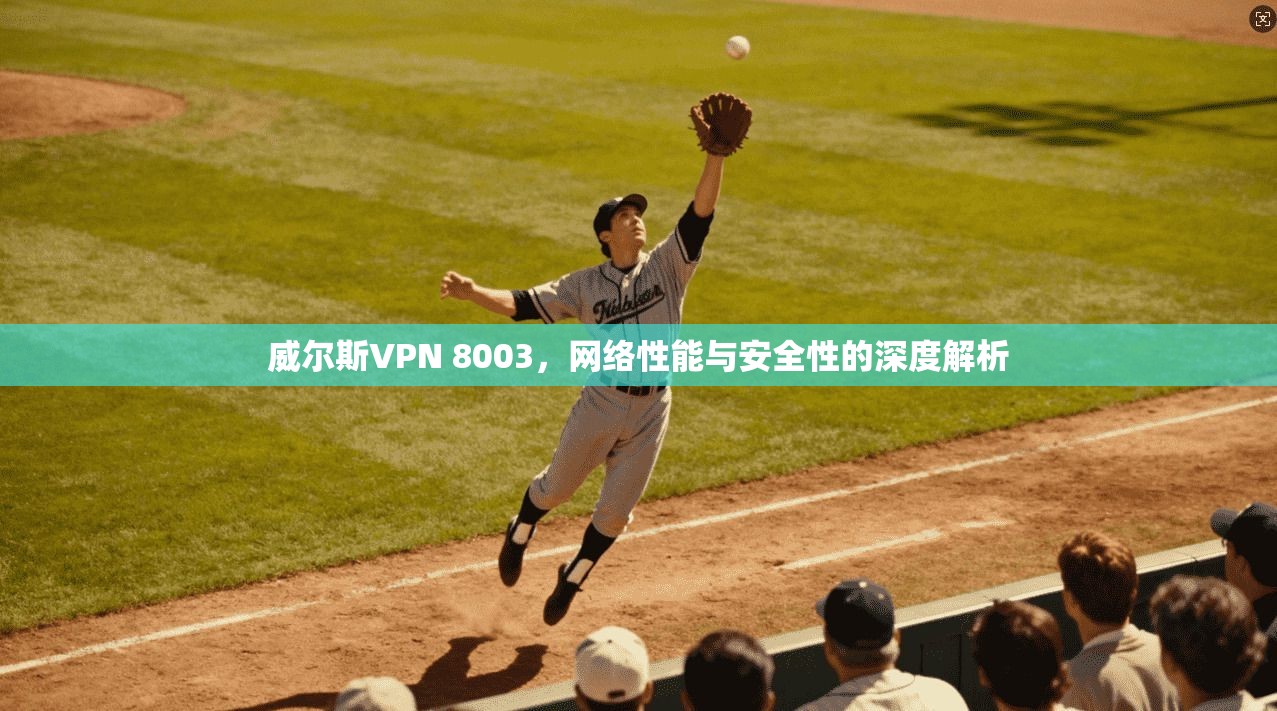 威尔斯VPN 8003，网络性能与安全性的深度解析
