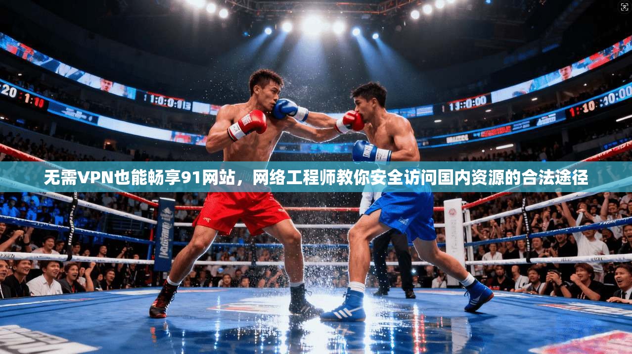 无需VPN也能畅享91网站,网络工程师教你安全访问国内资源的合法途径