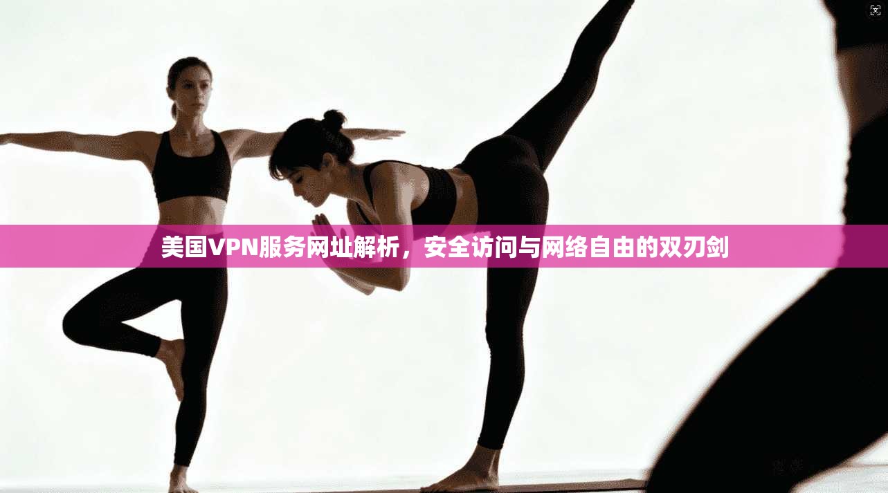 美国VPN服务网址解析，安全访问与网络自由的双刃剑