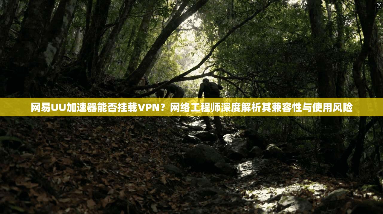 网易UU加速器能否挂载VPN?网络工程师深度解析其兼容性与使用风险