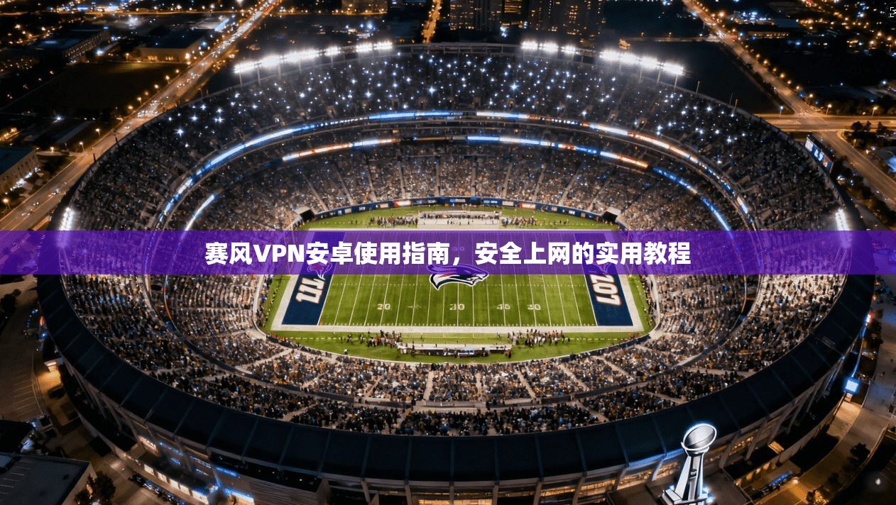 赛风VPN安卓使用指南,安全上网的实用教程
