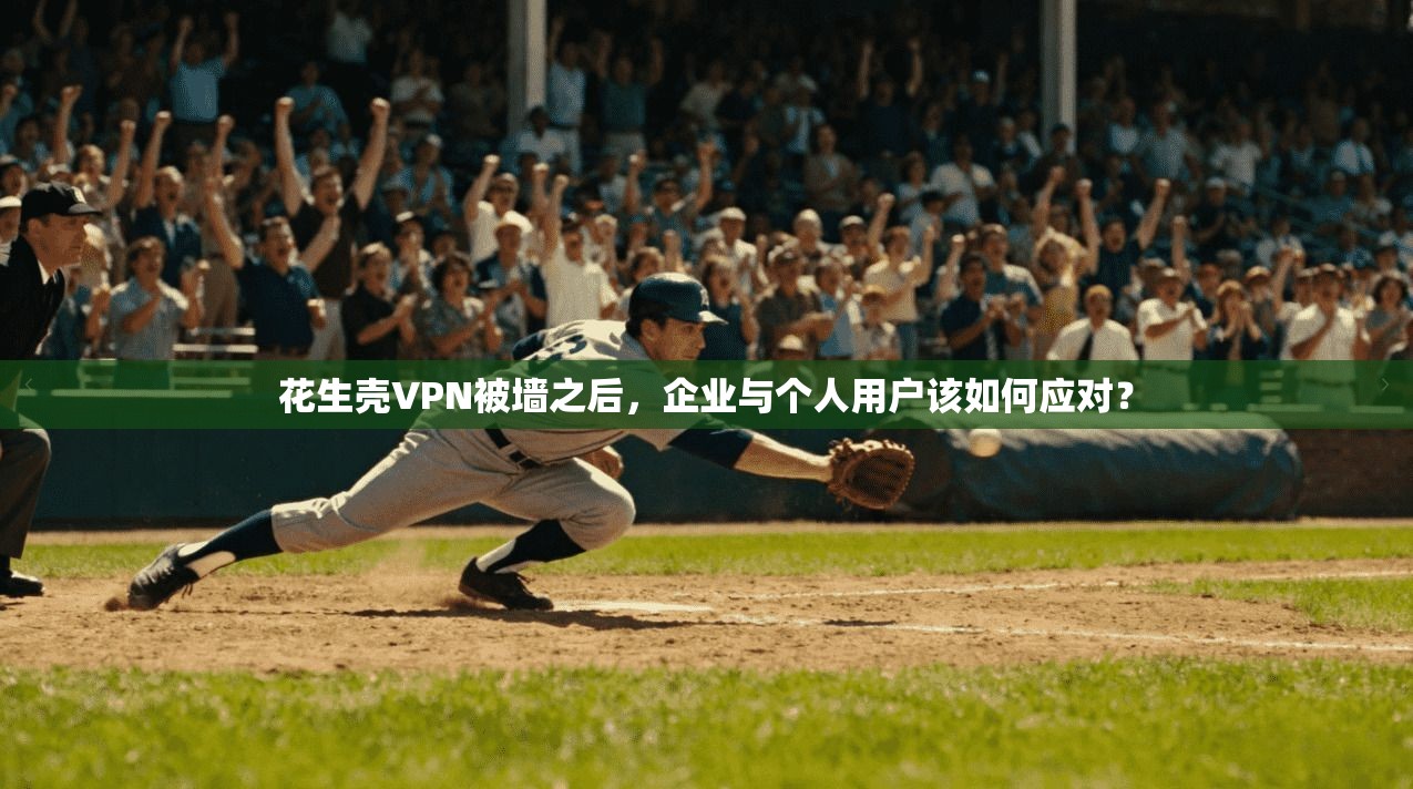 花生壳VPN被墙之后,企业与个人用户该如何应对?