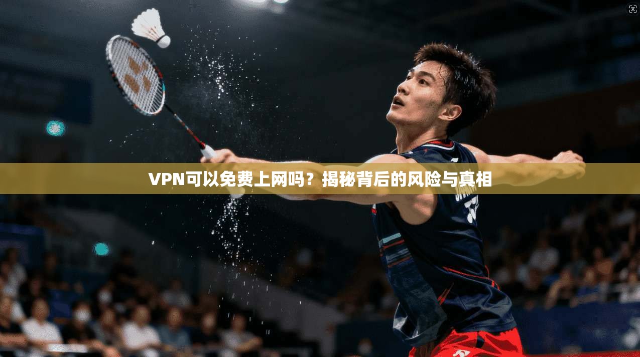 VPN可以免费上网吗?揭秘背后的风险与真相