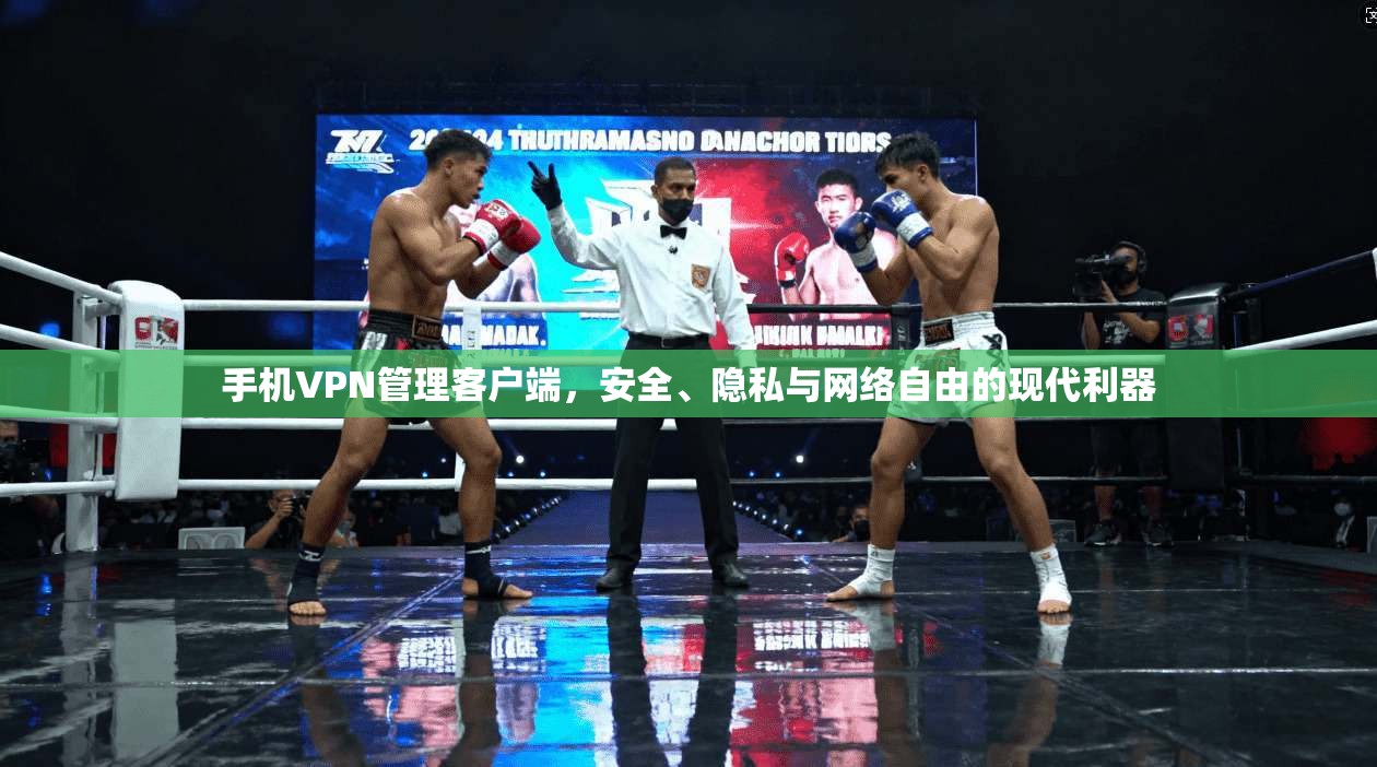 手机VPN管理客户端，安全、隐私与网络自由的现代利器