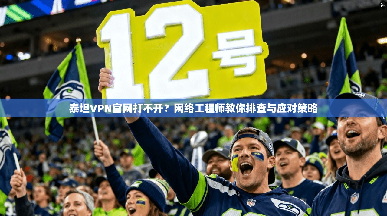 泰坦VPN官网打不开?网络工程师教你排查与应对策略