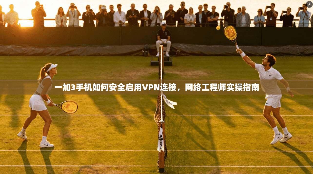 一加3手机如何安全启用VPN连接，网络工程师实操指南