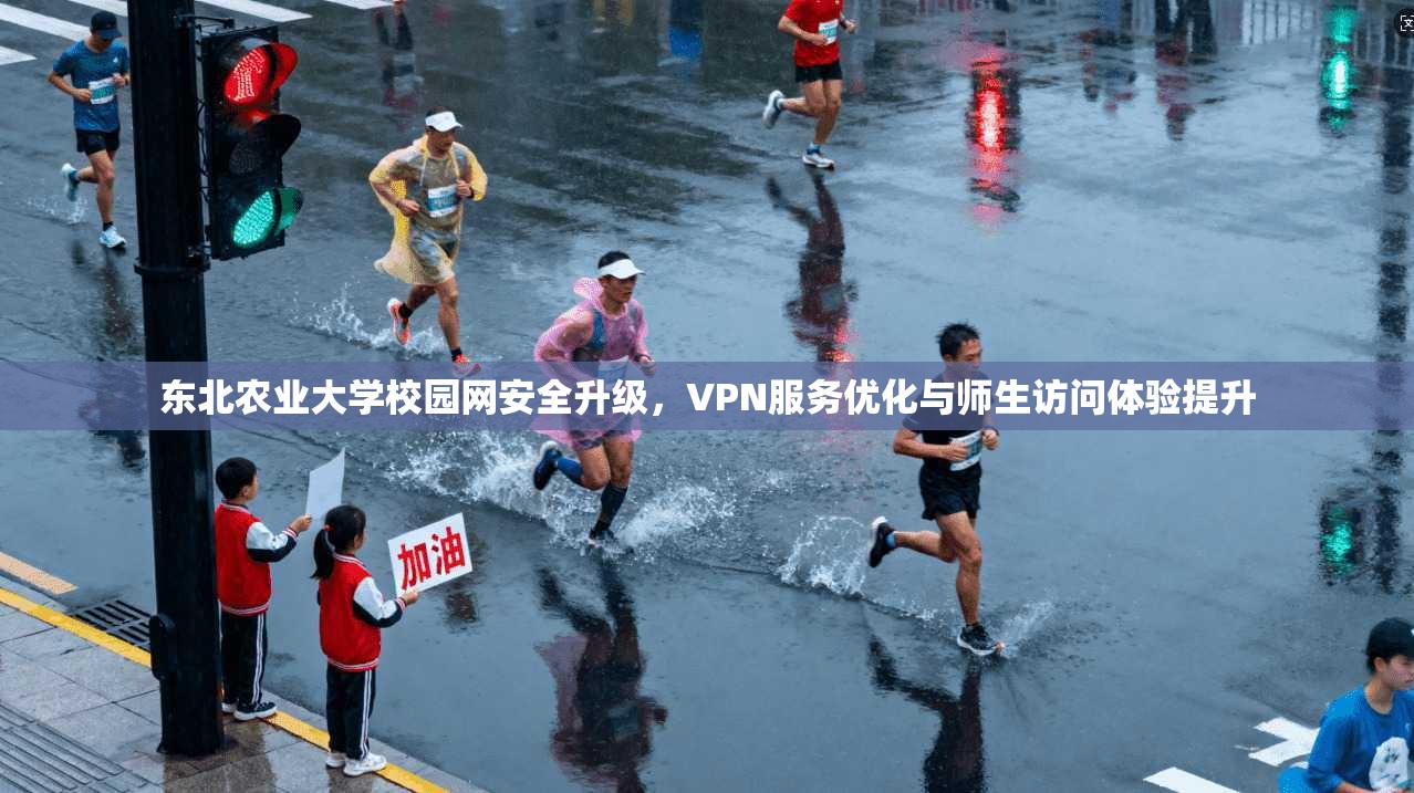 东北农业大学校园网安全升级,VPN服务优化与师生访问体验提升