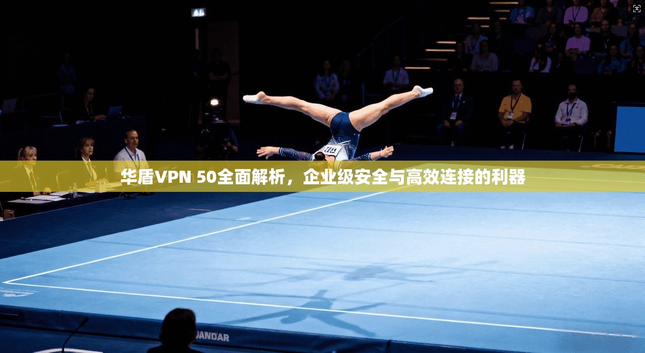 华盾VPN 50全面解析,企业级安全与高效连接的利器