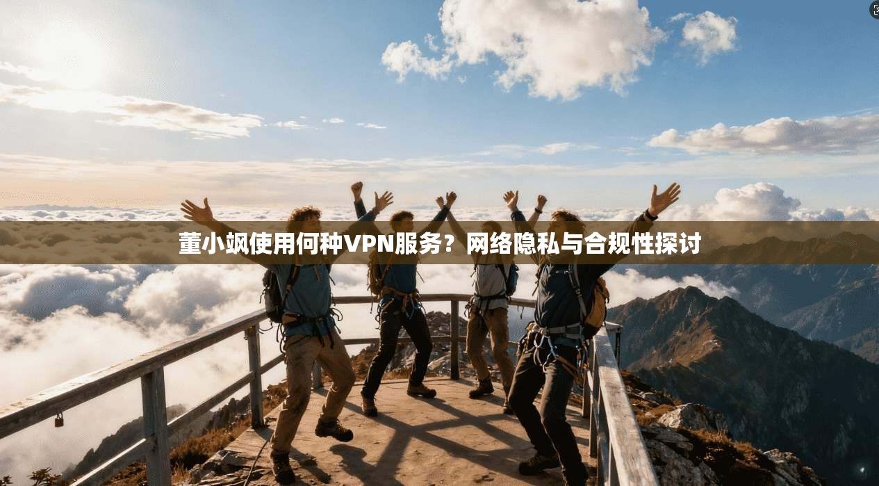 董小飒使用何种VPN服务?网络隐私与合规性探讨