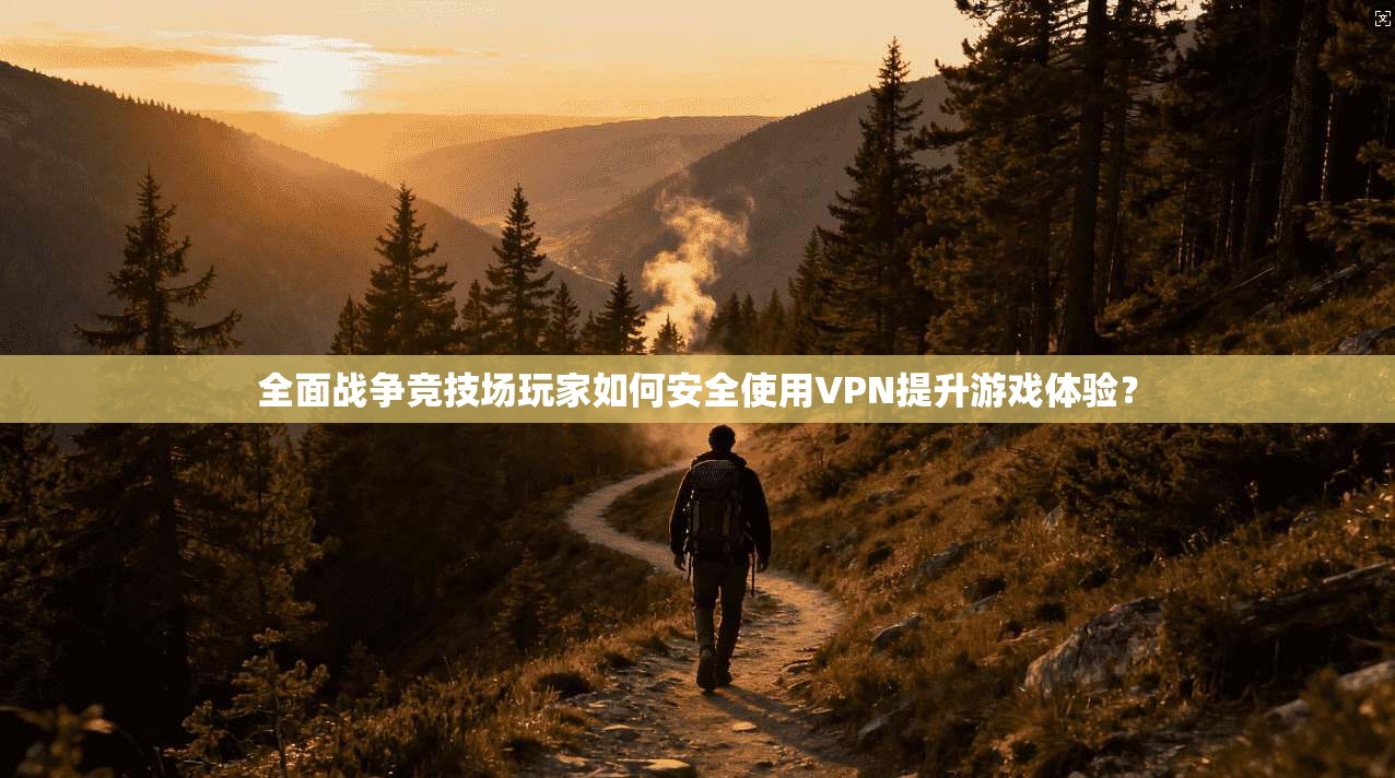 全面战争竞技场玩家如何安全使用VPN提升游戏体验？