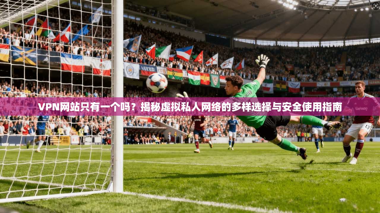 VPN网站只有一个吗?揭秘虚拟私人网络的多样选择与安全使用指南