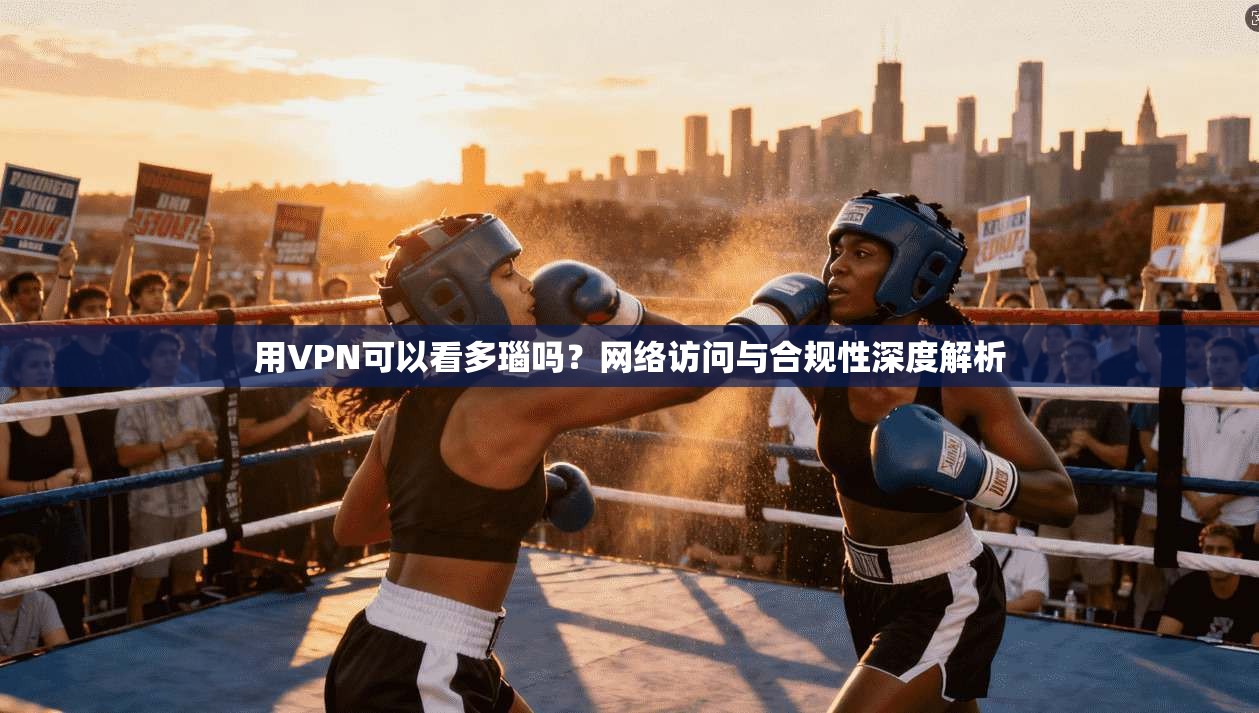 用VPN可以看多瑙吗?网络访问与合规性深度解析