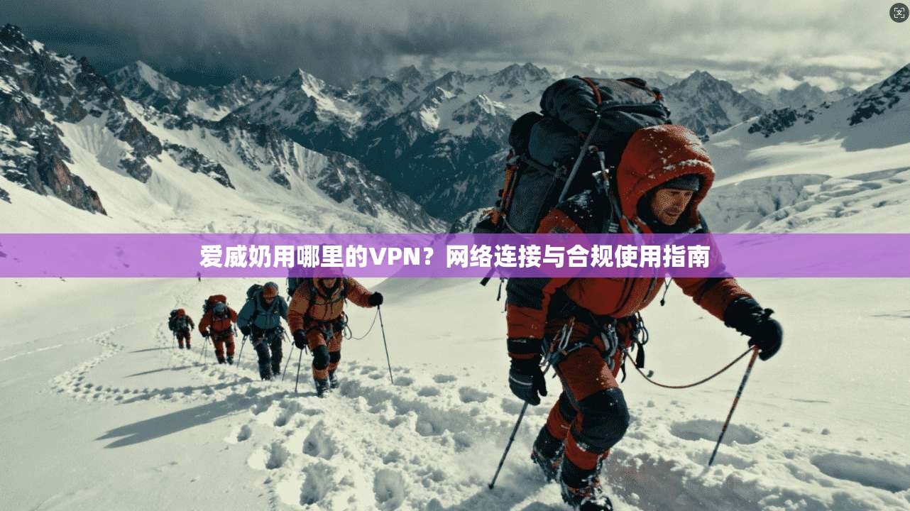 爱威奶用哪里的VPN?网络连接与合规使用指南