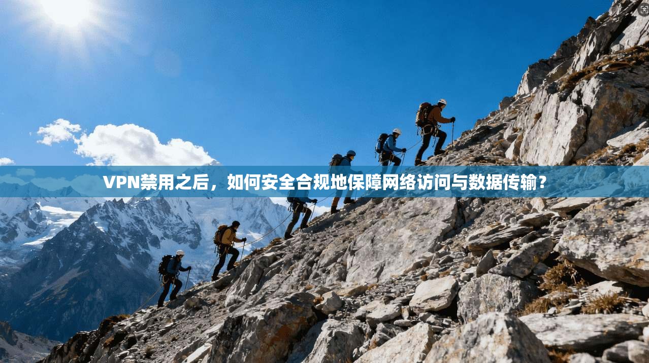 VPN禁用之后,如何安全合规地保障网络访问与数据传输?