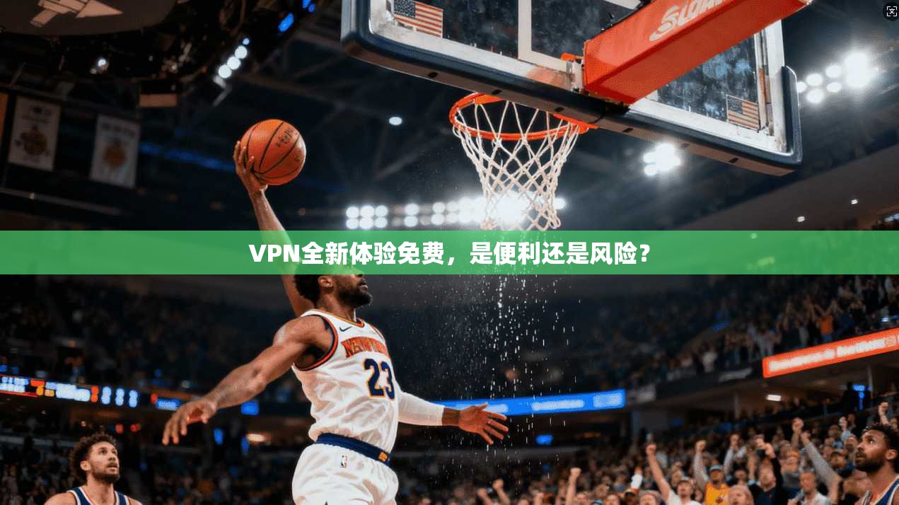 VPN全新体验免费,是便利还是风险?